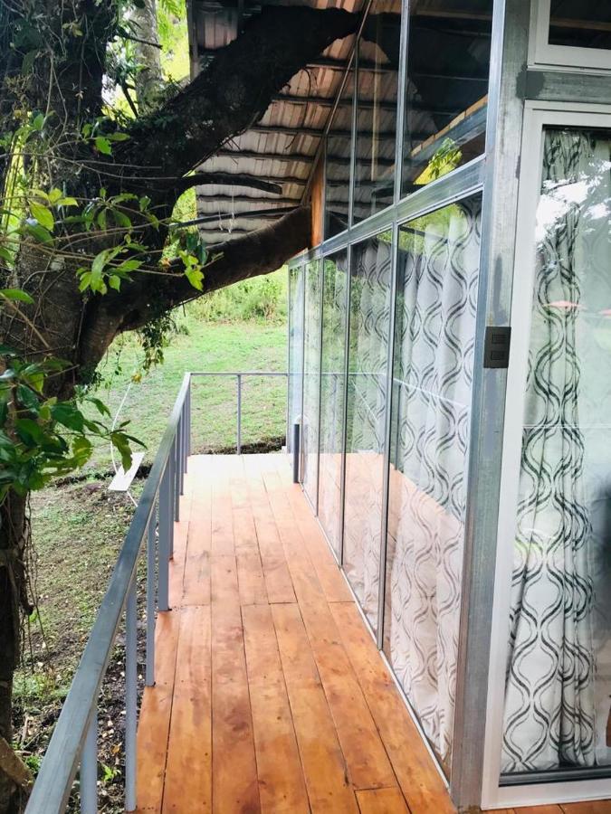 Cabana Treehouse Mountain View San Isidro  Eksteriør billede